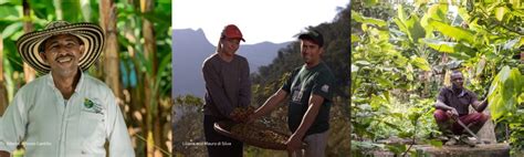 fair trade solarmovie|How Fairtrade is tackling the climate crisis .